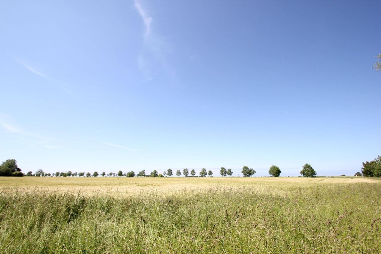 Viel Natur, Idyllische Umgebung, Ruhige Lage - Ferienpark Neddesitz Fewo 299 Zewnętrze zdjęcie